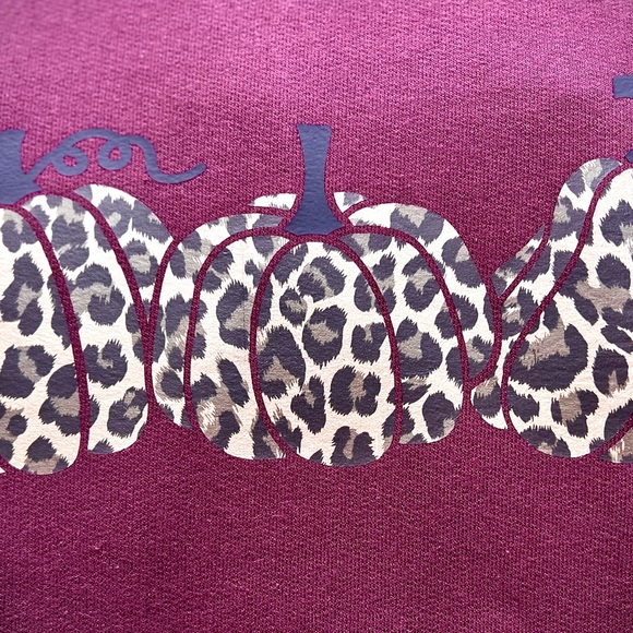 Cheetah Pumpkin Crewneck - Picture 3 of 4